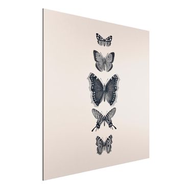 Tableau sur aluminium - Ink Butterflies On Beige Backdrop
