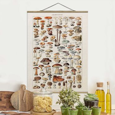 Tableau en tissu avec porte-affiche - Vintage Board Mushrooms