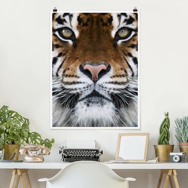 Poster animaux - Tiger Eyes