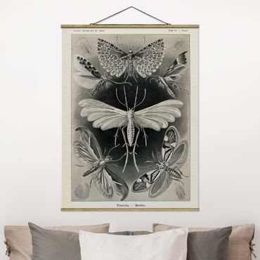 Tableau en tissu avec porte-affiche - Vintage Board Moths And Butterflies