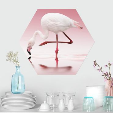 Hexagone en forex - Flamingo Dance