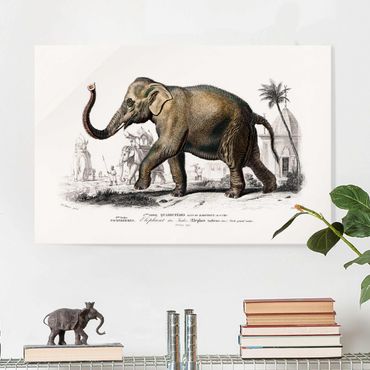 Tableau en verre - Vintage Board Elephant