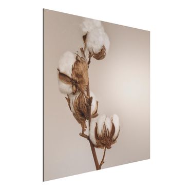 Tableau sur aluminium - Fragile Cotton Twig