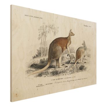 Impression sur bois - Vintage Board Kangaroo