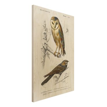 Impression sur bois - Vintage Board Owl And Swallow