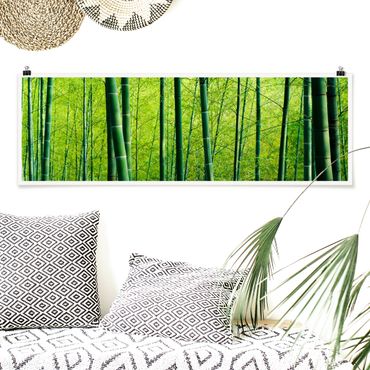 Poster panoramique nature & paysage - Bamboo Forest