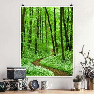 Poster forêt - Romantic Forest Track