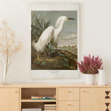 Impression sur toile - Vintage Board White Heron I