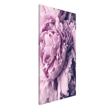Tableau magnétique - Purple Peony Blossoms