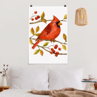 Poster animaux - Birds And Berries - Northern Cardinal