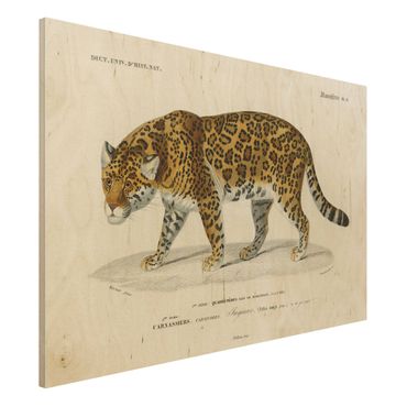 Impression sur bois - Vintage Board Jaguar