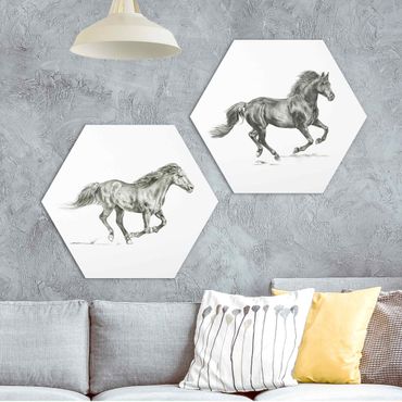 Hexagone en forex - Wild Horse Study Set I