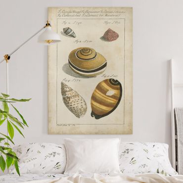 Impression sur toile - Vintage Worm Drawing Yellow