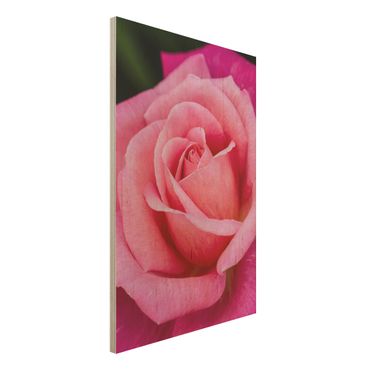 Impression sur bois - Pink Rose Flowers Green Backdrop