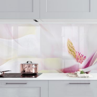 Revêtement mural cuisine - Delicate Magnolia Blossom