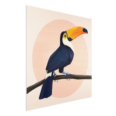 Impression sur forex - Illustration Bird Toucan Painting Pastel