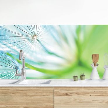 Revêtement mural cuisine - Abstract Dandelion