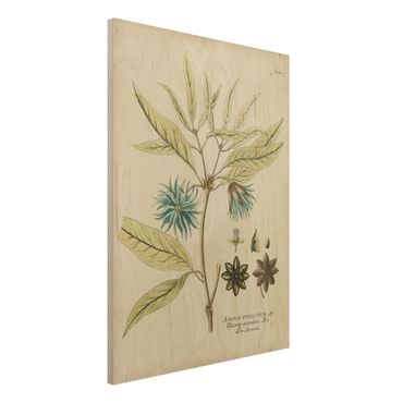 Impression sur bois - Vintage Botany In Blue Star Anise