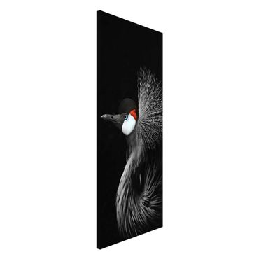 Tableau magnétique - Black Crowned Crane