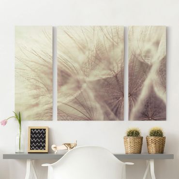 Impression sur toile 3 parties - Detailed Dandelion Macro Shot With Vintage Blur Effect