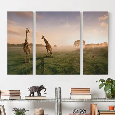 Impression sur toile 3 parties - Surreal Giraffes