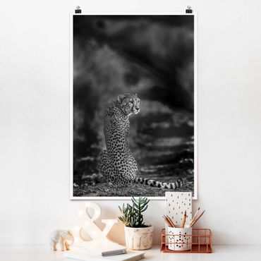 Poster animaux - Cheetah In The Wildness
