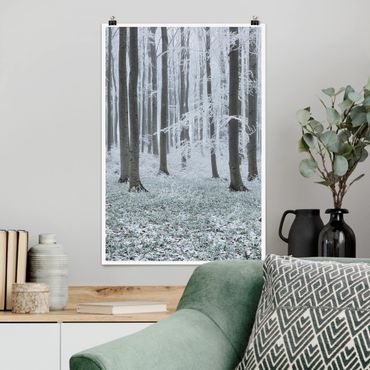 Poster nature & paysage - Beeches With Hoarfrost