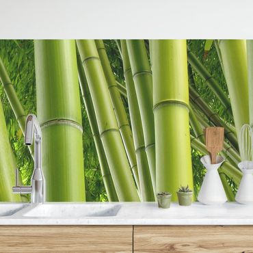 Revêtement mural cuisine - Bamboo Trees No.1