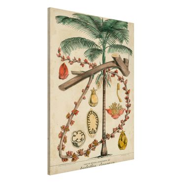Tableau magnétique - Vintage Board Exotic Palms II
