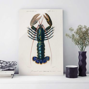 Tableau en verre - Vintage Board Blue Lobster