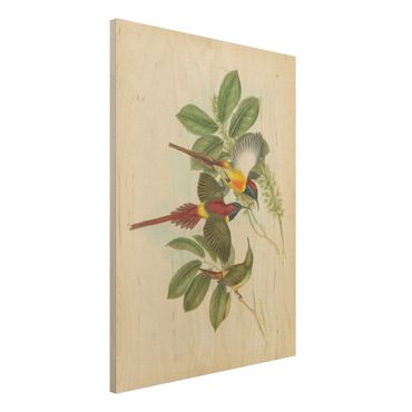 Impression sur bois - Vintage Illustration Tropical Birds III