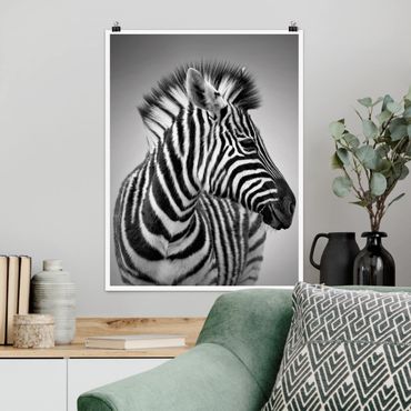 Poster animaux - Zebra Baby Portrait II