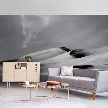 Metallic wallpaper - Colorado Dunes Black And White