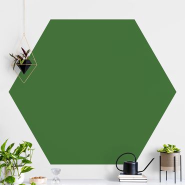 Papier peint hexagonal autocollant avec dessins - Colour Dark Green
