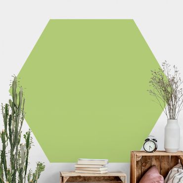 Papier peint hexagonal autocollant avec dessins - Colour Spring Green