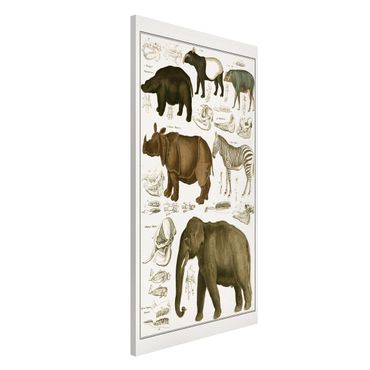 Tableau magnétique - Vintage Board Elephant, Zebra And Rhino