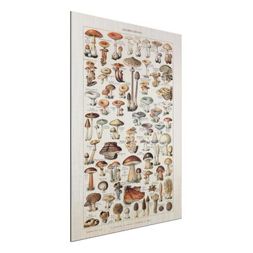 Impression sur aluminium - Vintage Board Mushrooms