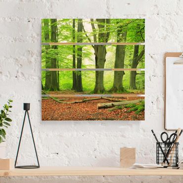 Impression sur bois - Mighty Beech Trees