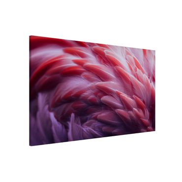 Tableau magnétique - Flamingo Feathers Close-Up