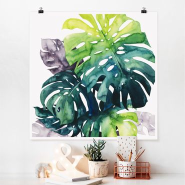 Poster - Exotic Foliage - Monstera