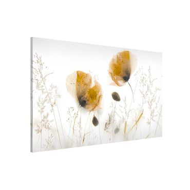 Tableau magnétique - Poppy Flowers And Delicate Grasses In Soft Fog