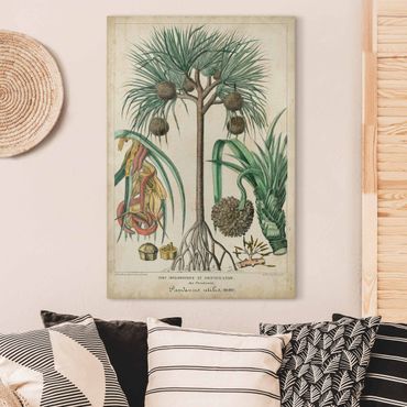 Impression sur toile - Vintage Board Exotic Palms I