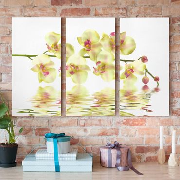 Impression sur toile 3 parties - Dreamy Orchid Waters