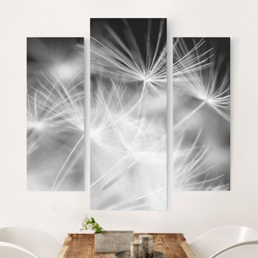 Impression sur toile 3 parties - Moving Dandelions Close Up On Black Background