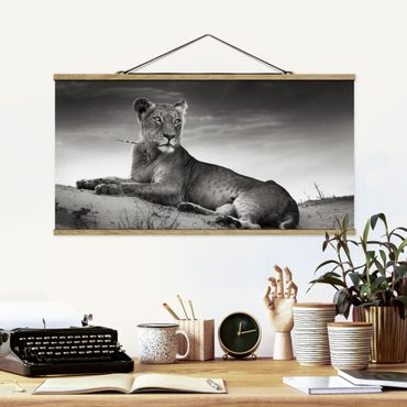 Tableau en tissu avec porte-affiche - Resting Lion