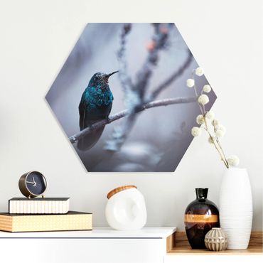 Hexagone en forex - Hummingbird In Winter
