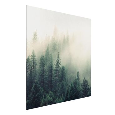 Tableau sur aluminium - Foggy Forest Awakening