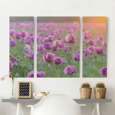 Impression sur toile 3 parties - Purple Poppy Flower Meadow In Spring