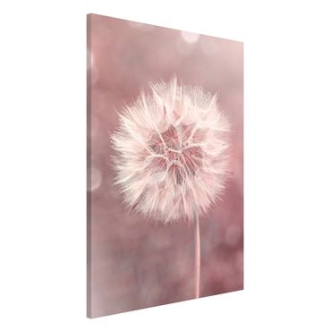 Tableau magnétique - Dandelion Bokeh Light Pink