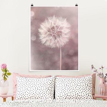 Poster - Dandelion Bokeh Light Pink